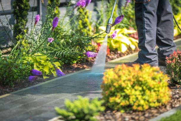 Best Dumpster Area Cleaning  in Carbondale, PA